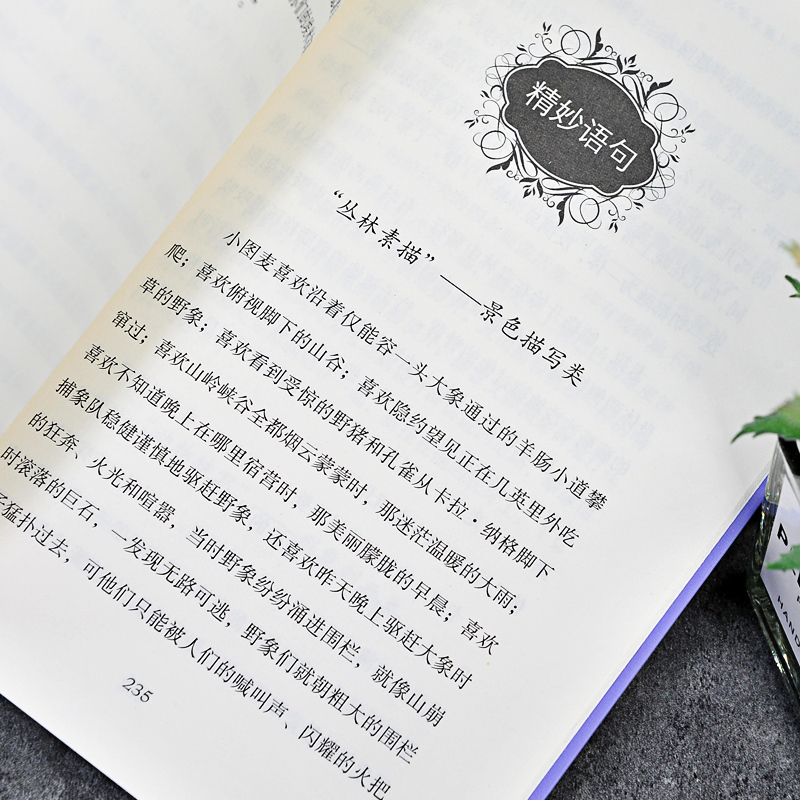 丛林故事 [正版] 丛林故事 原著完整版无删减 经典童话故事书籍 世界儿童文学名著精读本人民文学出版社小学生青少儿版天天