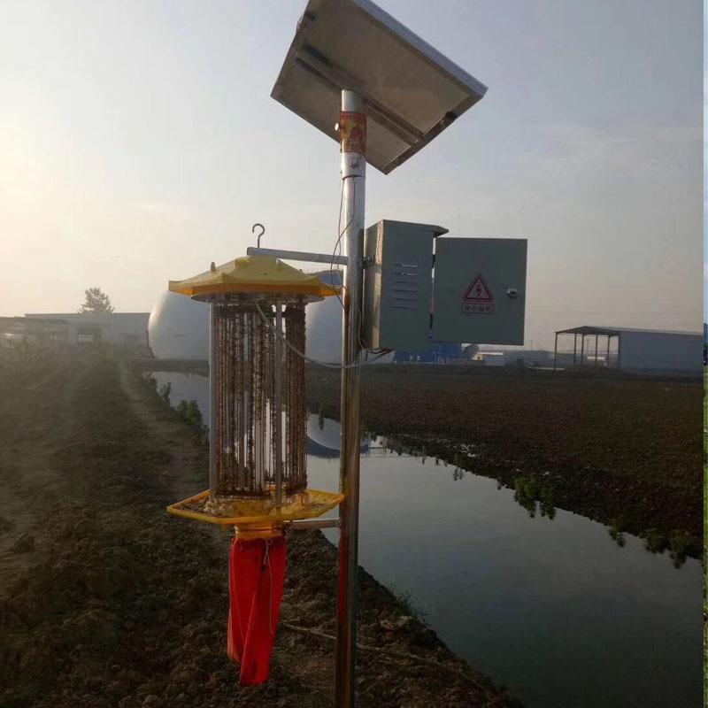 太阳能杀虫灯农用灭虫诱虫户外频振式鱼塘养殖果园光控雨控灭蚊灯 三维工匠 中型灯头不锈钢杆太阳能全套