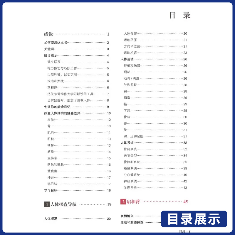 [正版]推拿按摩的解剖学基础第6版探查人体触感差异推拿按摩书籍教程人体结构肌肉解刨运动系统局部疗法物理康复治疗师肌骨触高清大图