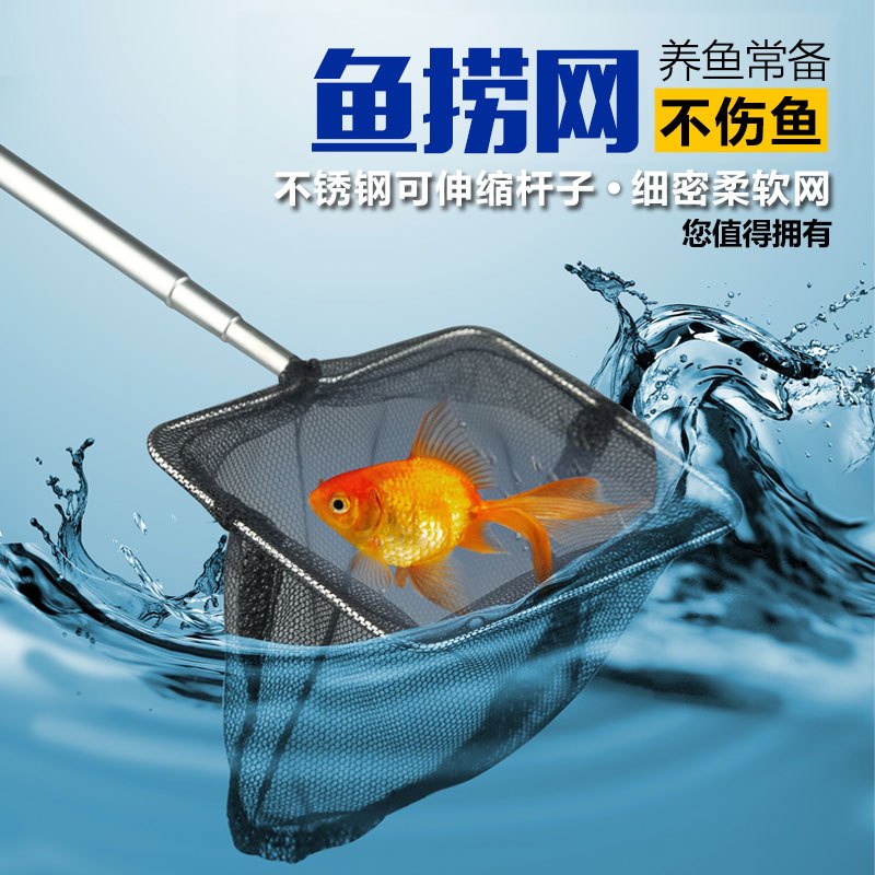 鱼缸鱼捞捞鱼不锈钢方形鱼捞手抄鱼网小金鱼观赏鱼渔捞水族箱虾捞高清大图