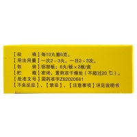 奇正 石榴健胃丸 12丸 温胃益火不良 食欲不振 寒性腹泻