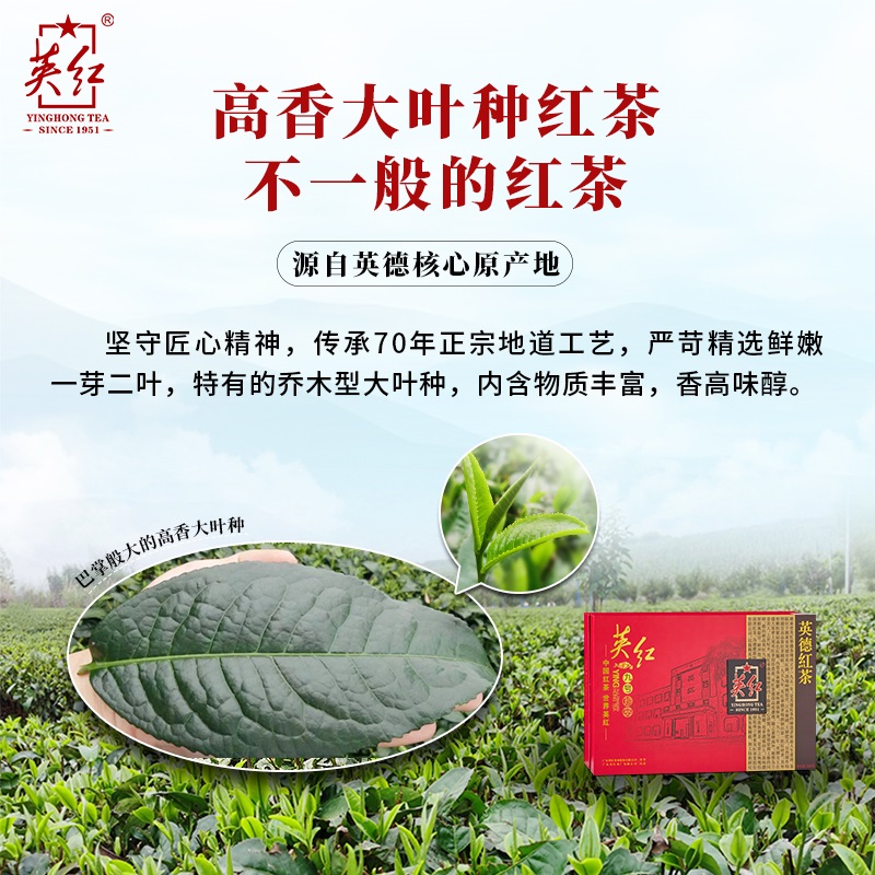 Z-英红·珍品九号红茶礼盒 一级 300克(75克*4)YH019高清大图