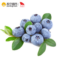 战旗村 新鲜蓝莓125g装 6盒 现摘现发 基地直供