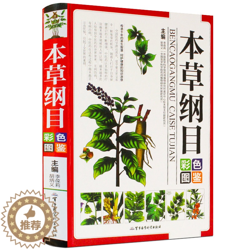 [醉染正版]本草纲目彩色图鉴彩图版 图解中草药中药材图谱手绘图精选300余种常用中药材中医养生保健本草纲目中医学入门图书高清大图