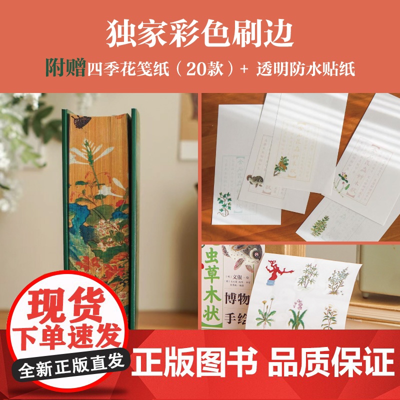 [刷边版]金石昆虫草木状 绝美中国博物手绘 文俶等著 中信出版社图书 正版高清大图