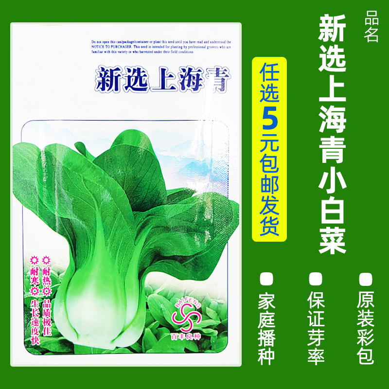 买3发6包四季蔬菜种子青菜香菜白菜生菜小葱黄瓜阳台盆栽香瓜冰糖 均码 B39-新选上海青约9克
