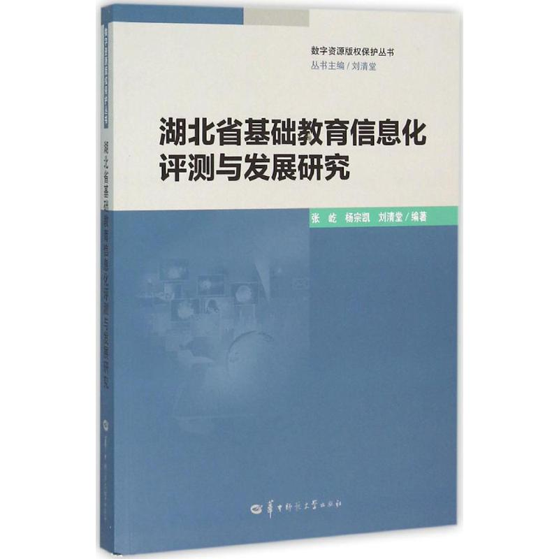 [M]湖北省基础教育信息化评测与发展研究-9787562271444高清大图