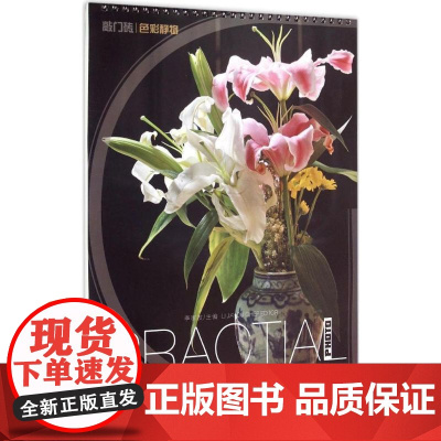 正版实用照片:色彩静物李家友 编9787229099411重庆出版社