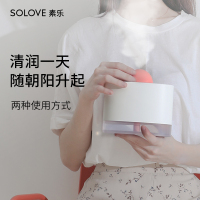 SOLOVE素乐加湿器 小巧便携 纳米雾化 高温高频 过滤杀菌 usb充电 分离式 自动断电 静音便携 蒸发式H5白色