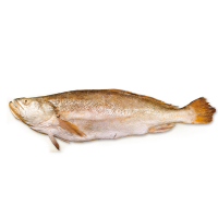 丰原食品 大西洋野生黄鱼 2-3条 500g 袋装 冷冻黄花鱼大黄鱼 海鲜水产