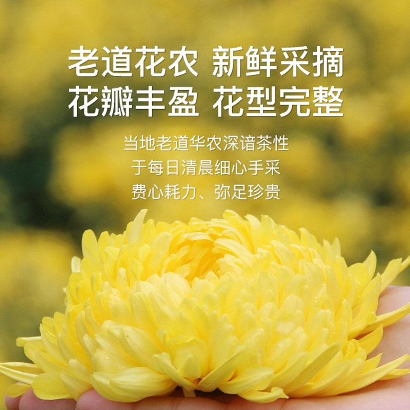 张太和 金丝皇菊 20朵 *三盒高清大图