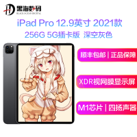 苹果 Apple 2021新款 iPad Pro 12.9英寸 256G 5G插卡版 苹果平板电脑 MHRH3 深空灰色 海外版