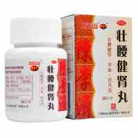 陈李济 壮腰健肾丸 35g