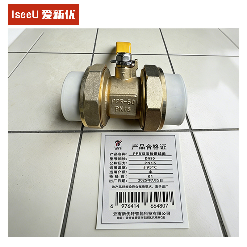 爱新优 PPR双活接铜球阀 DN50(个)高清大图
