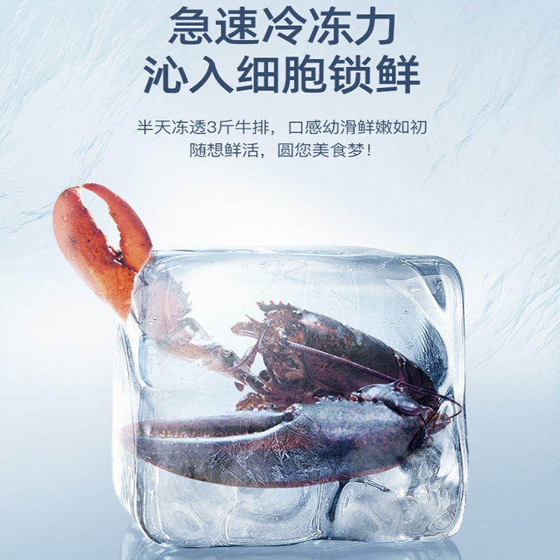 志高(CHIGO)电冰箱家用迷小型双开门省电节能宿舍租房办公室冷藏冷冻迷你_双门银①①⑧一级能效