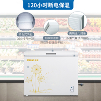 美菱(MELING) 208升 卧式冷柜 小型迷你家用商用冰柜 保鲜冷藏柜顶开门一级单温冰箱柜 BC/BD-208DT