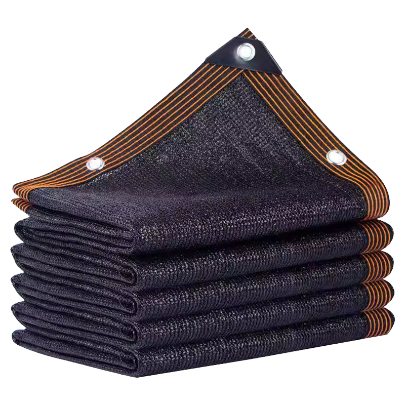 汐 太阳网16米张高清大图