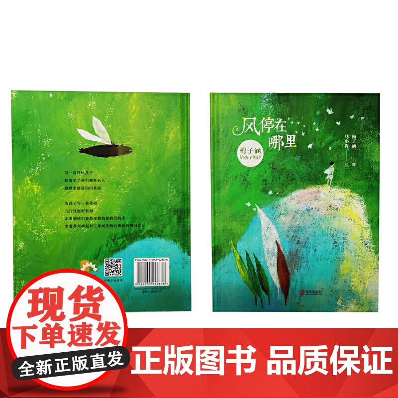 正版[精装] 风停在哪里 梅子涵给孩子的诗 一二三四年级老师阅读书籍适合孩子读的书籍 诗集献给孩子们的童心诗高清大图