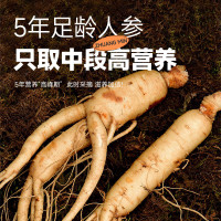 2盒装 庄民鲜蜜参片 正宗东北大片人参蜜片养生茶滋补年货过年送礼品送长辈父母老人滋补品50g/罐