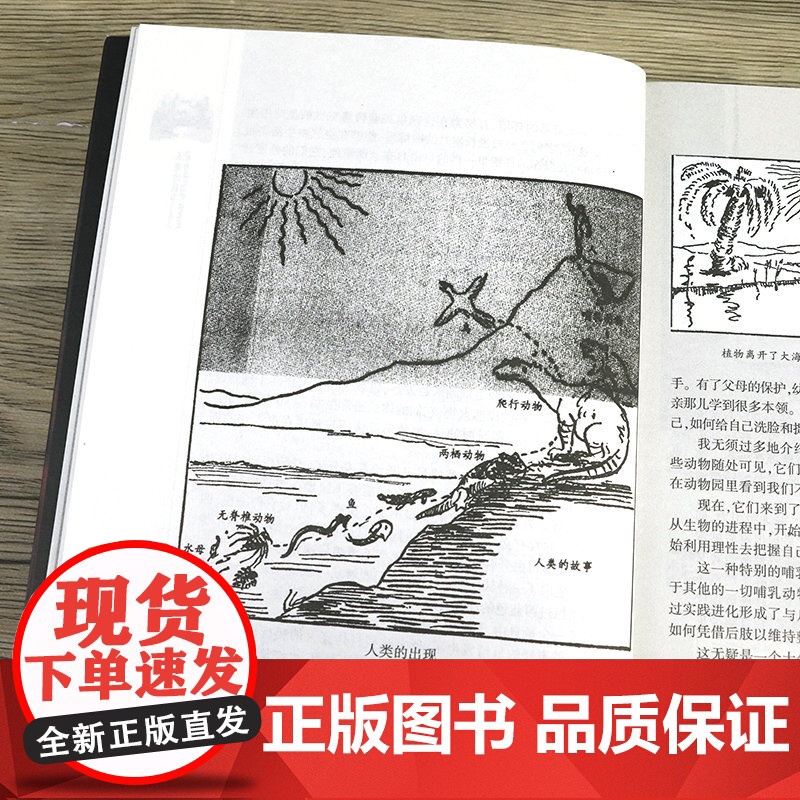 西方人文经典(共五册):房龙人文通识教育四部曲+威尔·杜兰特吉尔·摩西哲学文学的故事 人类的艺术宽容哲学文学的故事书籍高清大图