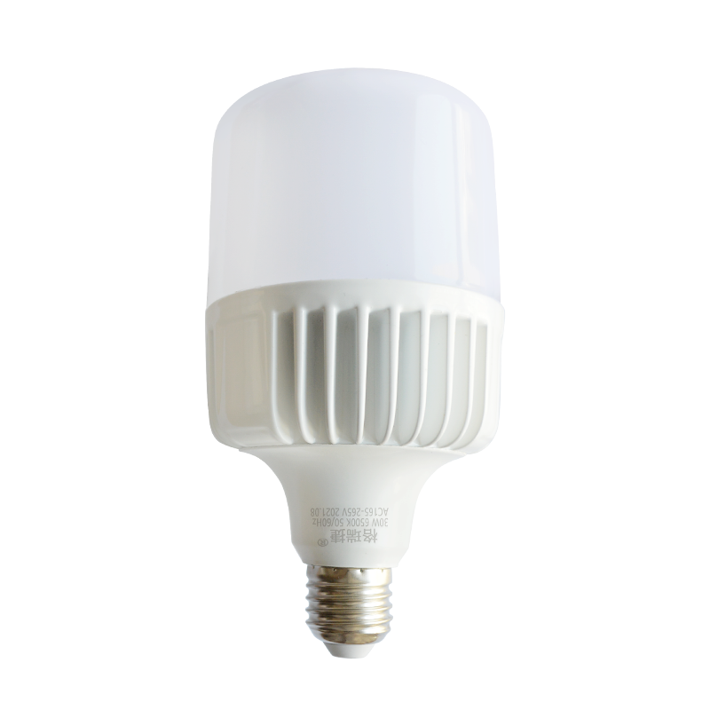 格瑞捷 LED灯泡 30W (柱形)Φ90-30W E27 AC165-265V 白 只