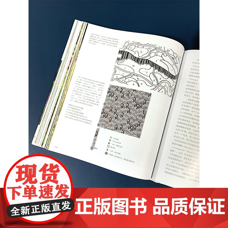 荒野之美 自然主义种植设计 城市规划园林景观种植设计 草园林大师皮特奥多夫自然主义种植设计 大型景观设计家庭庭院植物栽培高清大图