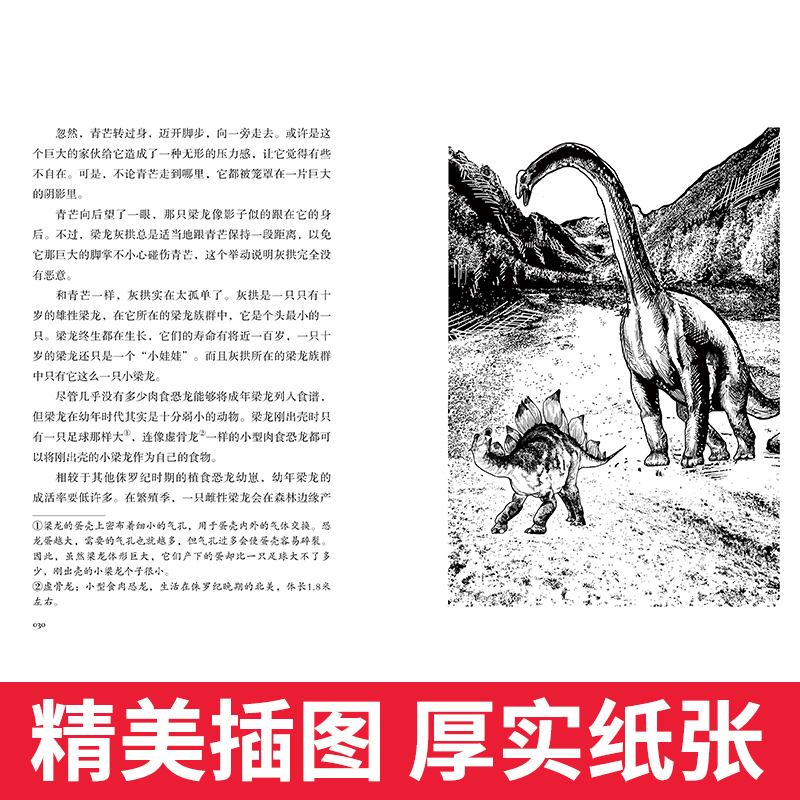 [正版]中外动物小说精品升级版第六辑全套8册 沈石溪动物小说全套系列8-9-10-12-15岁 文学励志书籍一二三四五高清大图