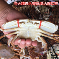 沈志雄 东山岛海鲜海捕蟹类白梭子蟹肉蟹扁蟹螃蟹活冻后寄2-4只/斤