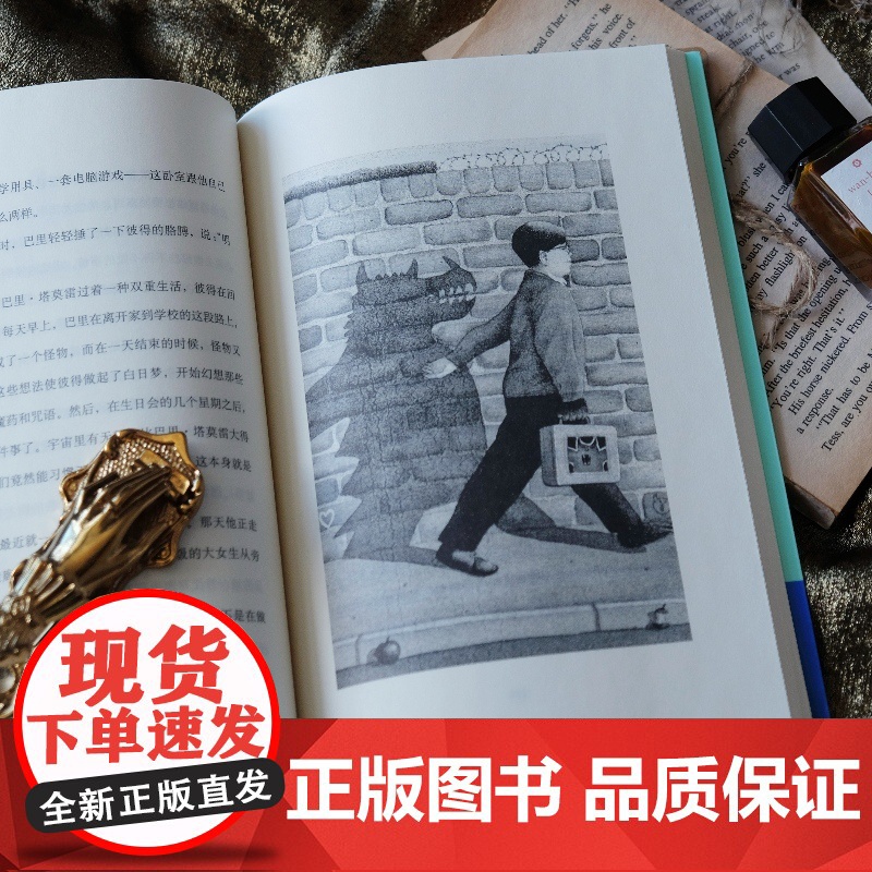 梦想家彼得 [英]伊恩·麦克尤恩 著 马爱农 译 原版插画 英国国民作家经典奇幻作品 外国文学 奇幻文学 童话 上海译文高清大图