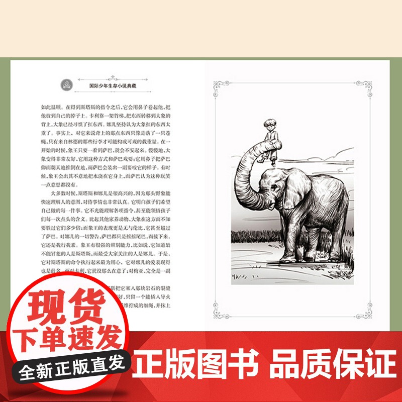 暑期读一本好书]国际少年生存小说典藏寻找黄金的猎人 9—14岁儿童故事书成长励志小说读物三四五六年级课外书小学生课外阅读高清大图