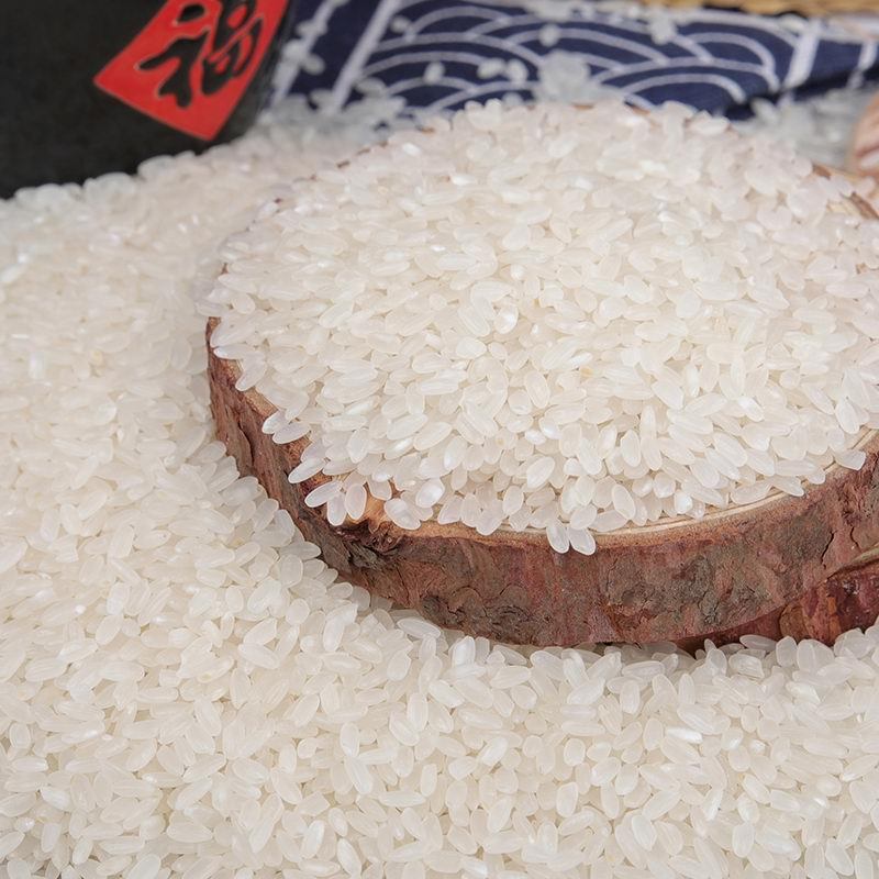 今食缘 精选优质大米 东北长粒香大米[绿色食品]5KG