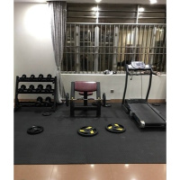 跑步机垫子减震垫防震垫防滑垫隔音垫家用健身器材地垫