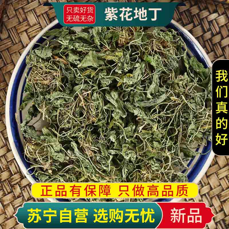 甄选紫花地丁100克干货正品新货煮水地丁草箭头草犁头草铧头草地丁无硫高清大图