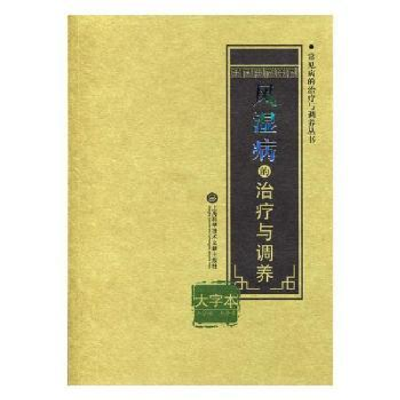 音像风湿病的治疗与调养:大字本王仑 编