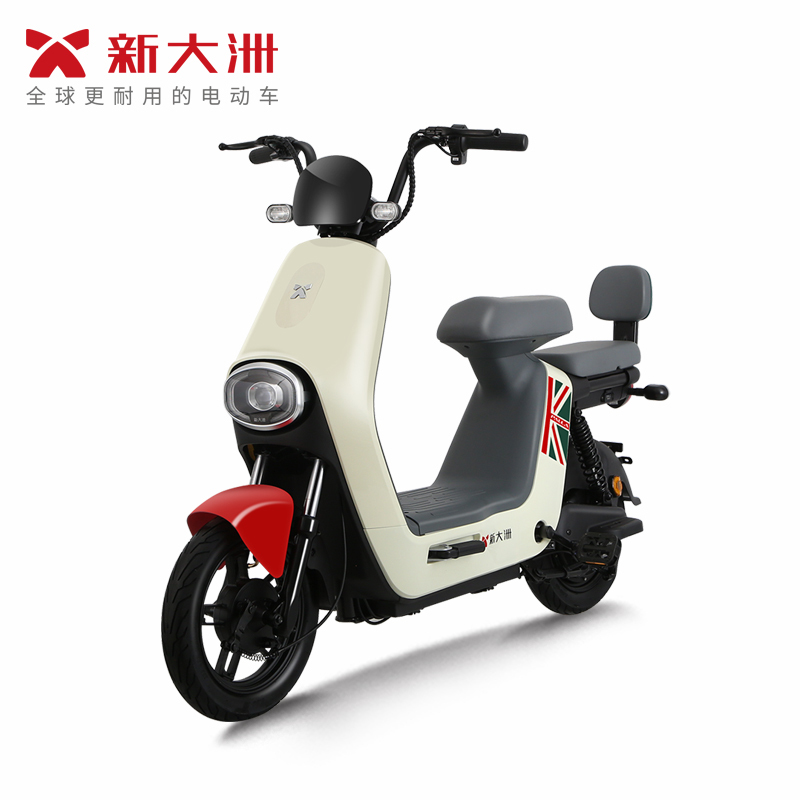 派乐/PALLA 乐颜 成人48V铅酸电池男女代步新大洲助力电动自行车 素颜绿