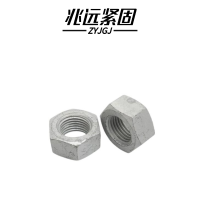 兆远紧固 达克罗六角螺母(个)(M12)