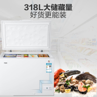 海尔 (Haier) 318升商用大冷冻柜 变温柜海尔冷柜BC/BD-318HD