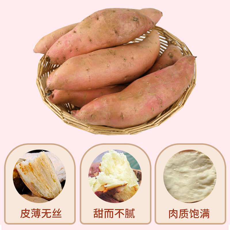 同学铺子哈密蜜薯香甜粉糯白心红薯 2.5公斤/箱
