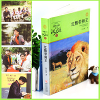 正版 动物小说大王沈石溪品藏书系红飘带狮王 儿童书8-10-12周岁儿童文学三四五六年级小学生课外阅读故事书正版书籍