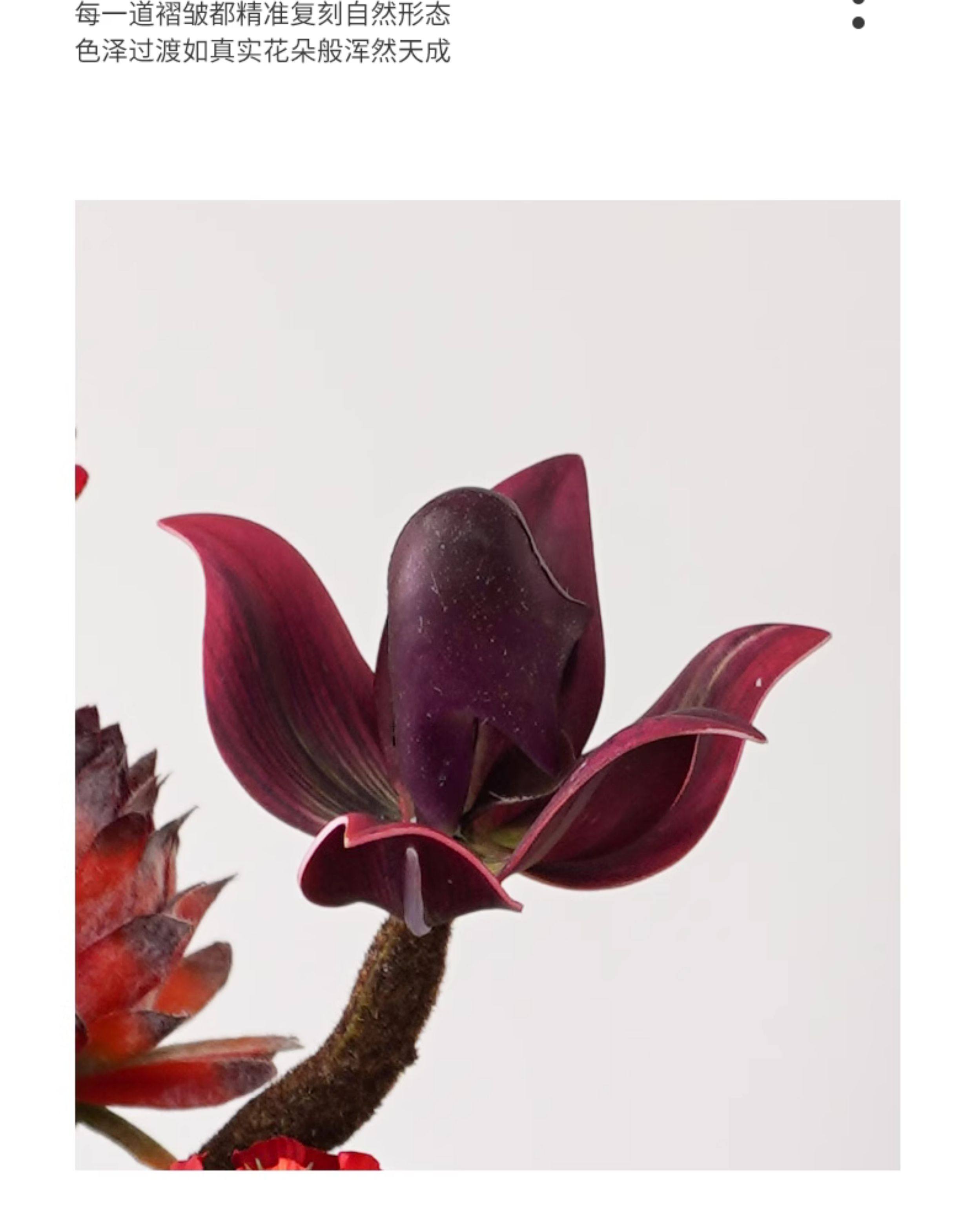 豫众诺仿真绿植花 小盆 个高清大图