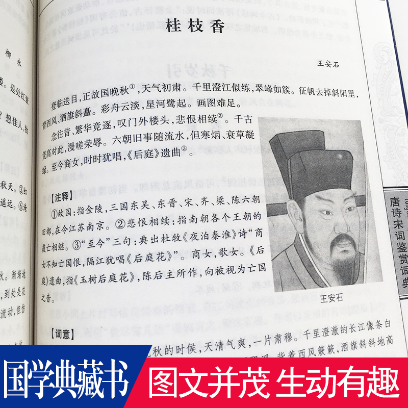 唐诗宋词鉴赏词典 [正版] 唐诗宋词鉴赏词典 文白对照 图文版 原文注释译文赏析 用文字和图片诠释华夏辉煌历史文明