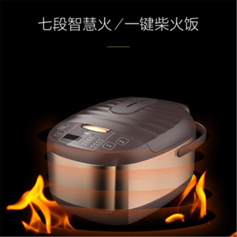 海尔FBS-F5091C 多功能电饭煲5升咖啡色高清大图