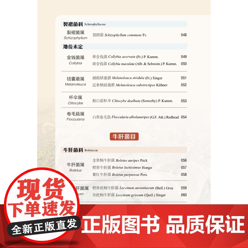 北京松山国家级自然保护区菌类图谱 盖立新 田恒玖 范雅倩 31028-5 北京松山国家级自然保护区生物多样性系列丛书高清大图