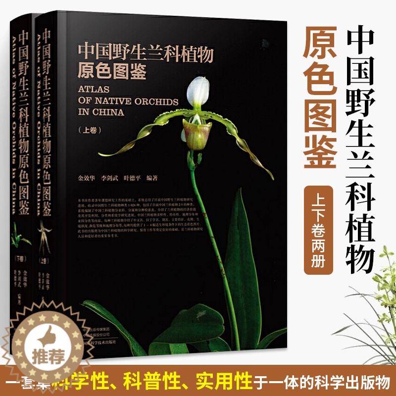 【醉染正版】精装 中国野生兰科植物原色图鉴 上下卷 金效华花图鉴基础知识 种类分类园艺栽培 兰科植物花叶特征识别大全 自