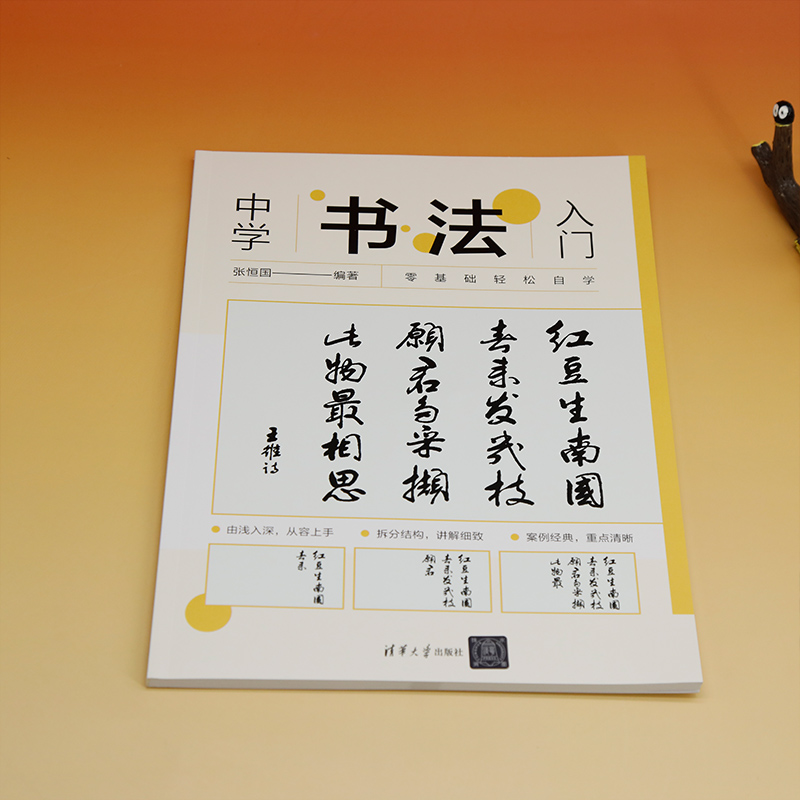 醉染图书中学书法入门9787302645900高清大图