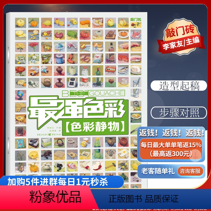 【正版】优惠美色彩 色彩静物 迟明星讲临摹 敲门砖色彩风暴系列美术素材9787229053574
