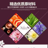 玛汀露丝(Matin Rosie)洗发水2瓶组合邂逅可可香氛500ml+500ml去屑止痒 莹润光泽