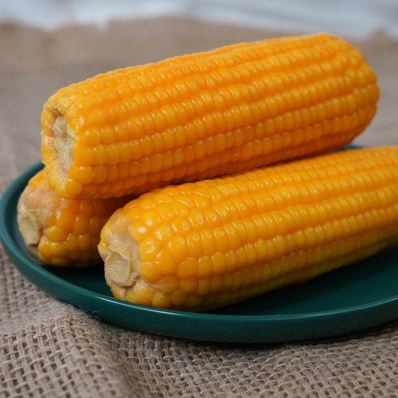 西沛生鲜东北玉米新鲜糯玉米2根装单根200g以上黏玉米甜糯玉米袋装粘