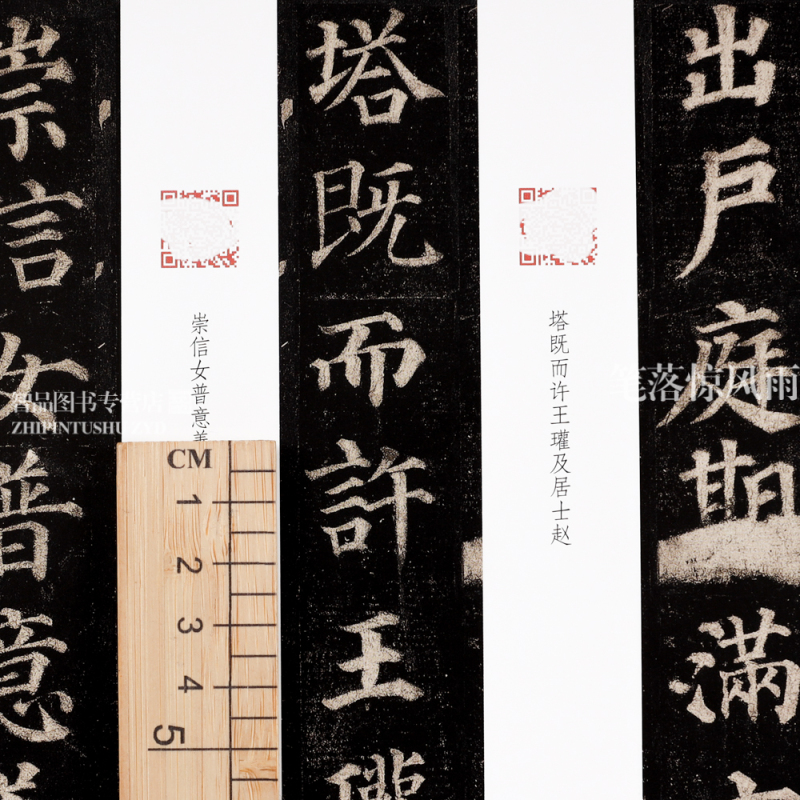 [正版]颜真卿多宝塔碑 名家教你写视频精讲版 颜体楷书碑帖简体释文通临教程书法初学者辅导班用书入门基础字帖 河南美术出