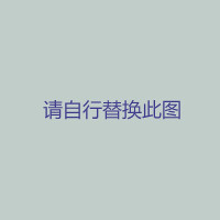 HiZHG 涂胶机配件100CC活塞泵止回阀维修包01.001.006.001221